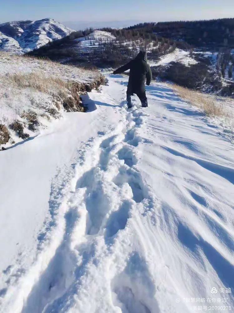 暴风雪肆虐无情 移动人砥砺前行